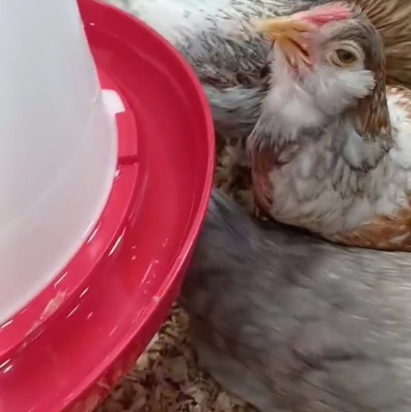 Meet your Posher, Mary - Picture 7 of 16